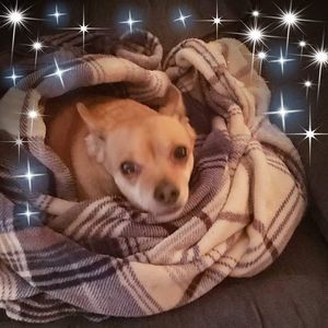 Meet your Posher, Joseph